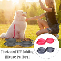 Thumbnail for Pet Feeding Bowl