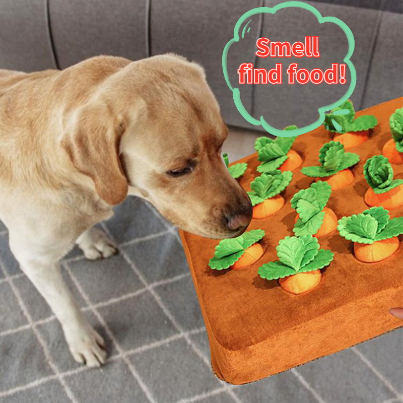 Vegetable Chew Toy For Dogs